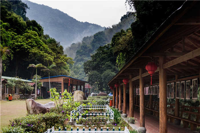 仅80元！享门市价100元的【泉州市】志闽旅游穿越桫椤谷门票， 一个集真实地理环境、顶级户外设施、完整课程体系、专业教练团队于一体的户外 运动体验基地。