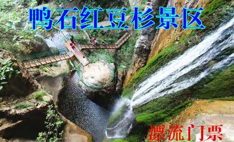 仅80元，享原价168元的【洛阳市】栾川鸭石红豆杉漂流票，全长六公里的漂流，红豆杉景区是豫西南地区，全景栾川旅游黄金线上的新亮点，是您生态探险，养生度假、避暑休闲的绝佳去处！