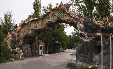 仅168元，享原价188元的【乌鲁木齐】燕窝水世界成人门票一张，燕窝水世界是国内首家气膜水上乐园，西北最大的室内水主题乐园，新疆唯一的四季运营乐园，对本地游客的假日出行提供多元化的选择