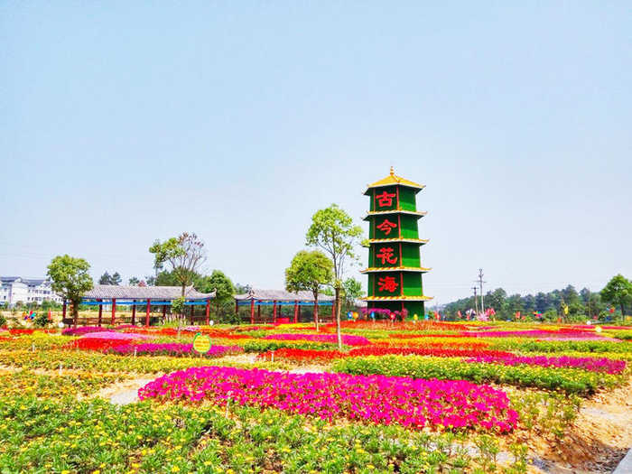 仅28元享原价48元的【涪陵】古今花海景区周末节假日门票一张；一年春景莫错过，最是花开好看时，阳春三月古今花海邀您赏花、踏青、烧烤、垂钓，一起触碰春天最美的模样...