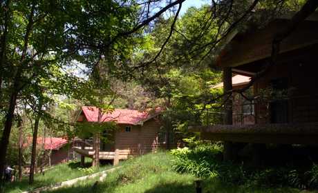 小陇山植物园山庄