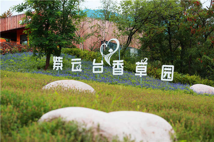 仅25元，享原价30元的【海淀】紫云台香草园成人票；香草园整体占地面积约200亩，其中薰衣草观景园占地面积达40亩。园区内的丘林地形使整个香草园呈现缓缓上升的态势。