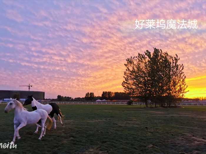 仅68元购买价值100元的【北戴河】好莱坞魔法城成人票一张，北戴河好莱坞魔法城作为好莱坞魔法城在中国国内第一家室外主题乐园项目，魔法城特别企划“魔法城西岛嘉年华”北戴河主题游园大型活动。