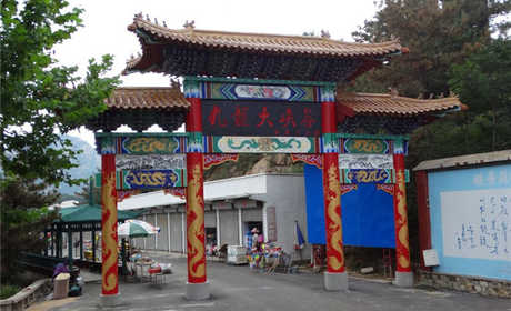 仅95元就享受100元的九龙大峡谷门票一张，九龙大峡谷生态环保好，森林植被覆盖面积占90%，现正在争取列入联合国全球生态环保五百家。
