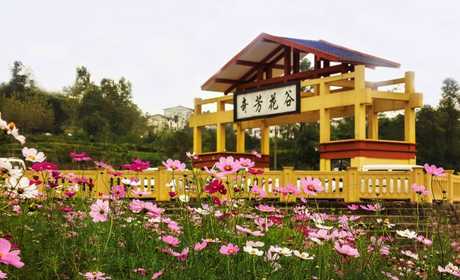 仅20元享受25元的【重庆】奇芳花谷景区儿童学生票一张，将把花谷打造成一片花，一幅画，一首诗，一座园。真正成为万州的一张名片，万州人民的后花园。