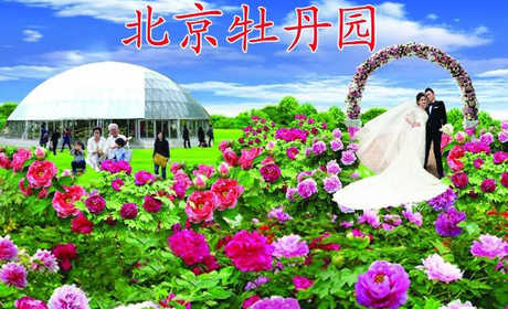 仅19.9元！享门市价30元的【北京】顺义牡丹园门票一张，优美的园区环境和儿童科普教育游乐设施还可供户外婚纱摄影、儿童科教等，欢迎您的光临。